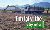 Cần Cái 'Bắt Tay' Chặt Hơn Giữa Nông Dân Và Doanh Nghiệp