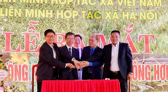 Htx Đại Nam Và Một Số Doanh Nghiệp Hàn Quốc Ký Kết Hợp Tác Tại Lễ Ra Mắt Htx. Ảnh: Như Ngọc.