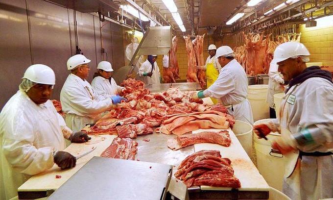 Công Nhân Chế Biến Thịt Lợn Tại Park Packing - Một Trong Số Ít Lò Mổ Còn Sót Lại Của Chicago - Ở Chicago, Illinois, Ngày 18/7/2015. Ảnh: Reuters.