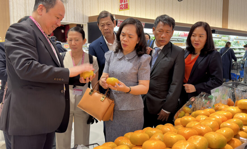 Bà Nguyễn Thanh Xuân (Giữa) Cùng Lãnh Đạo Aeon Khảo Sát Tại Trung Tâm Thương Mại Aeon Makuhari Shintoshin Tại Nhật Bản.