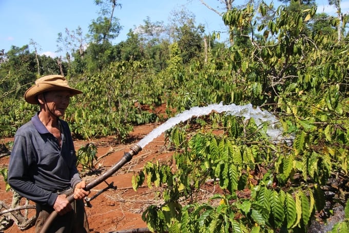 Tưới Tràn Rất Lãng Phí Nước, Nhất Là Trong Bối Cảnh Khô Hạn Ngày Càng Khốc Liệt Như Hiện Nay. Ảnh: Minh Quý.