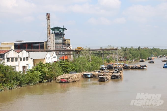 Để Giữ Ổn Định Vùng Mía Nguyên Liệu Trong Niên Vụ 2024 – 2025, Sosuco Tiếp Tục Ban Hành Nhiều Chính Sách Đầu Tư Phù Hợp Trước Khi Vào Vụ Sản Xuất Mía. Ảnh: Kim Anh.