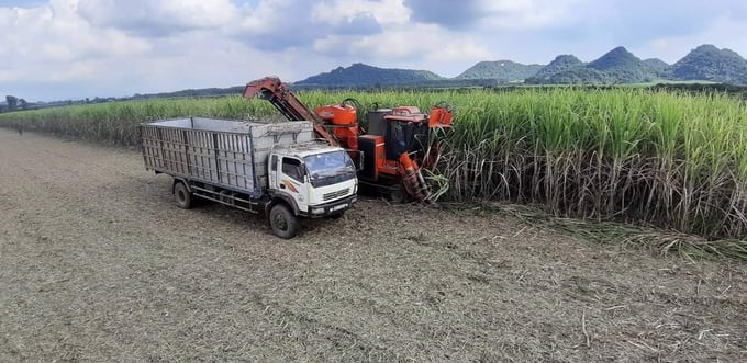 Ts Cao Anh Đương Cho Rằng Trong Mối Liên Kết Sản Xuất Mía, Doanh Nghiệp Luôn Đang Ở Thế Tay Trên. Ảnh: Ts.