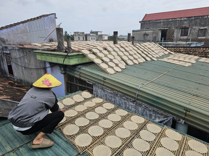 Bánh Tráng Được Phơi Cả Trên Mái Nhà Cho Nhanh Khô. Ảnh: T. Đức.