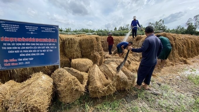 Triển Khai Dự Án Đã Tạo Điều Kiện Cho Bà Con Tăng Thêm Thu Nhập, Không Lãng Phí Rơm Rạ. Ảnh: Ms.